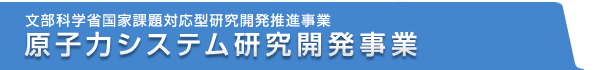 原子力システム研究開発事業