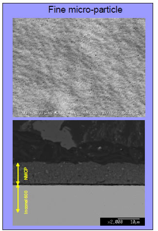 }1: Fine micro-particle